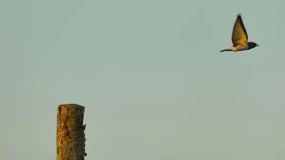 Loot Casino Tacaíocht